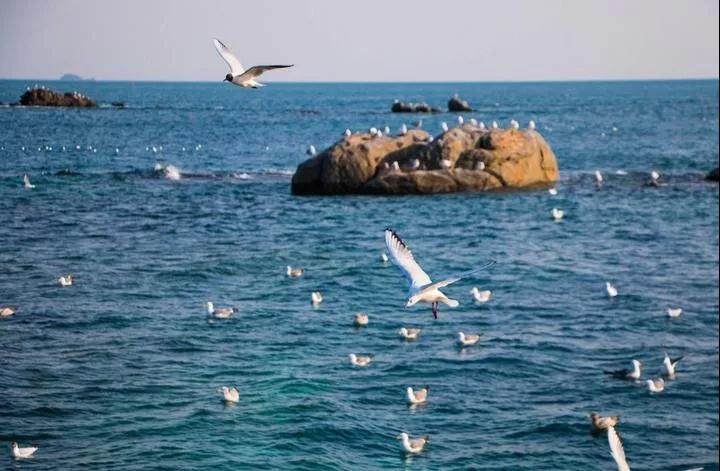 海水中陰陽(yáng)離子的檢測(cè) 海水中陰陽(yáng)離子的檢測(cè)